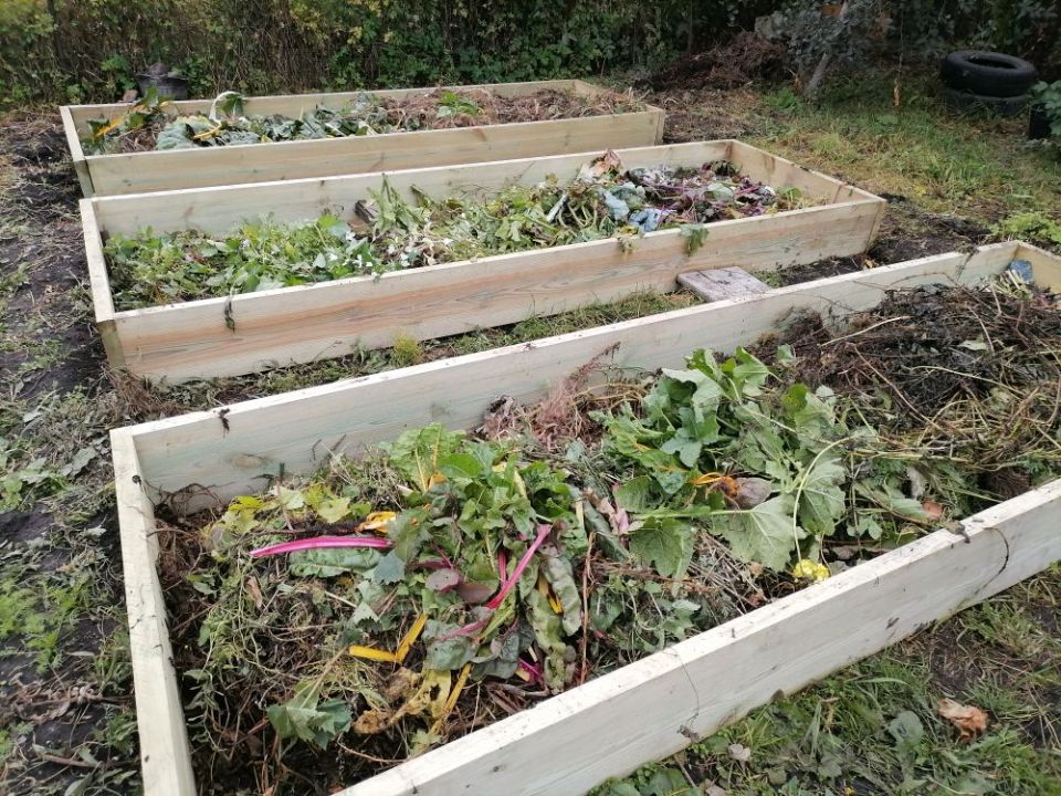 ������ ������: ������� �������� ������� ������� � ����