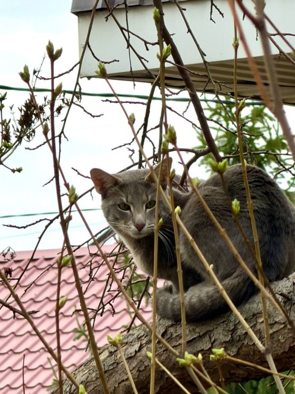 Доброе утро! Прогноз погоды на 4 апреля