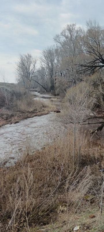 Данные по уровням воды в реках и работе водохранилищ в Оренбургской области на 4 апреля: