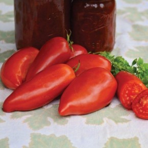 Томат дьявол джерси: уникальные качества экзотического сорта