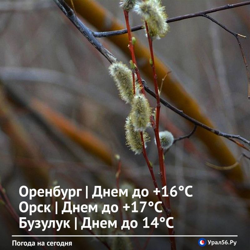 ������ ����. � ������� ������������!