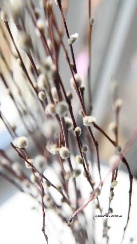 ������� �������: ������� ������� �����������!