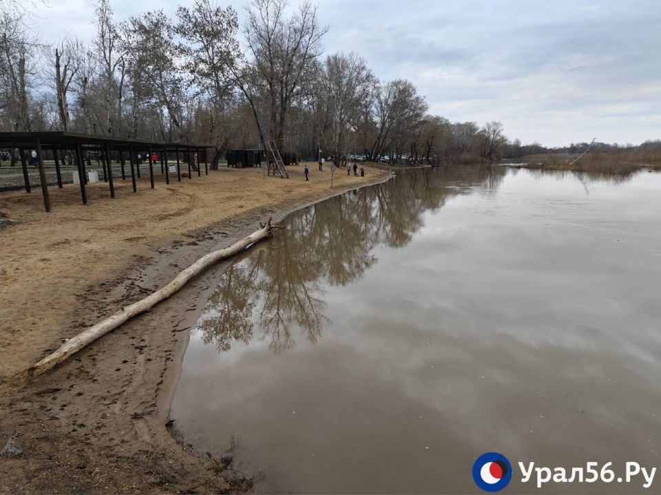 ��� �������. ������� ���� ���� � ��������� ����� ���������