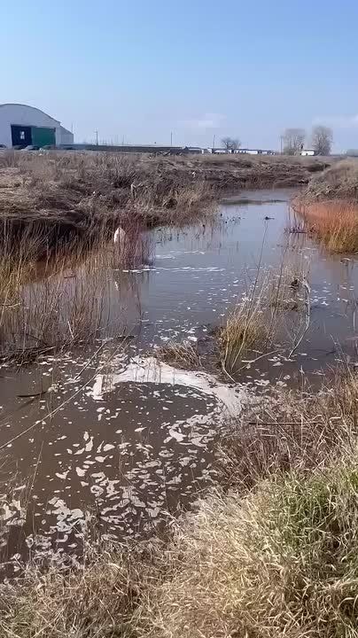 �������� � ��������� ���������� ������ ������ � ����� ������� ������������ ������