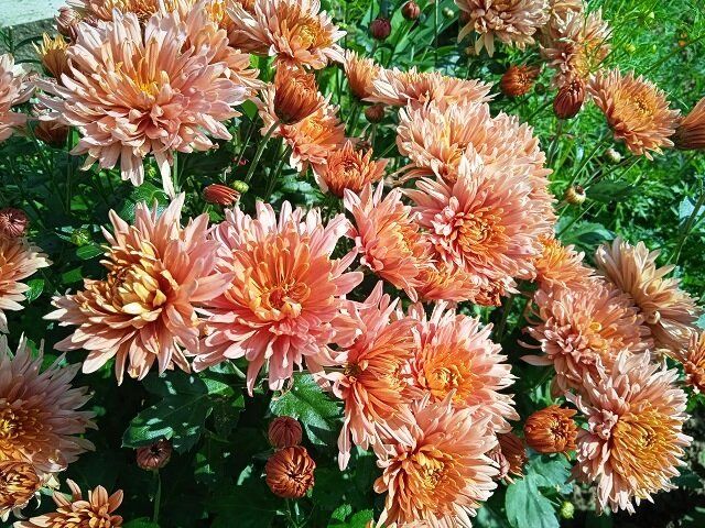 ��� ��������� �� ��������� �����������: ������ ��� ��������� ����������