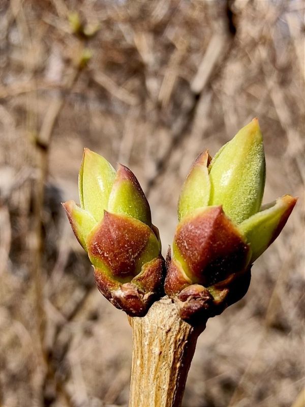 ������ ����! � ����� ������� �������, � ����� ������� ���������!