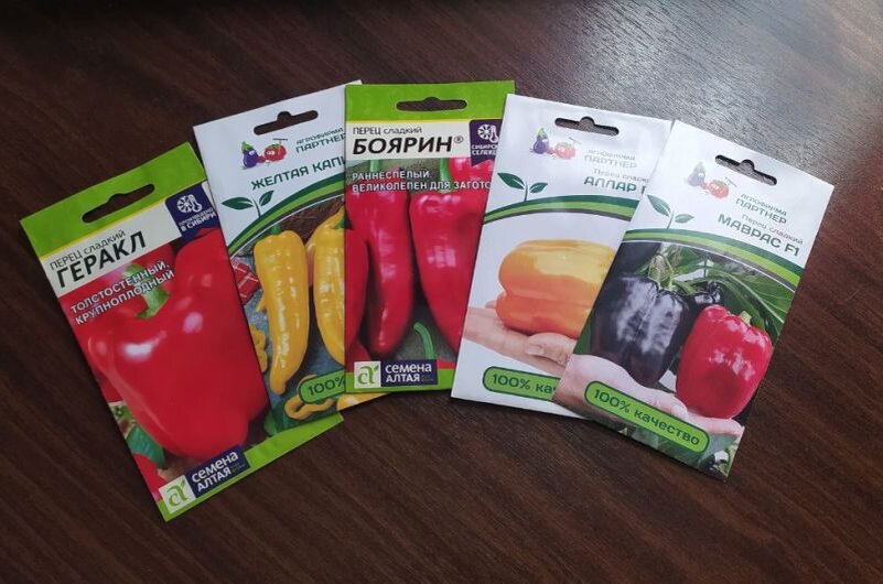 Секреты успешного проращивания семян перца: всё, что нужно знать