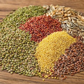 ������������ ����� � ������: ���� � �������� � ����������