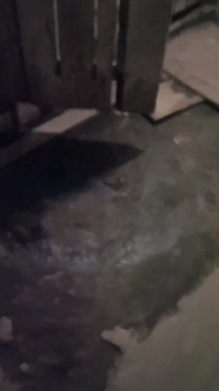 � ��������� �� ����� �������� ��������� ������ ����������� � ����������� ��������