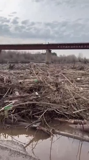 ������ ���� � �������� ������� � �������� ����� �������