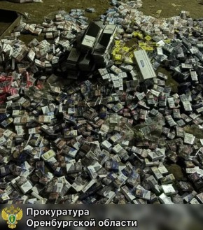 Прокуратура Оренбуржья направила в суд уголовное дело, возбужденное по факту незаконного использования чужого товарного знака