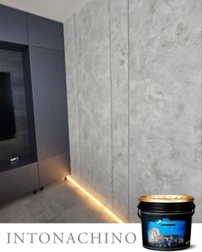 Плесень на стенах: причины возникновения и её воздействие на здоровье