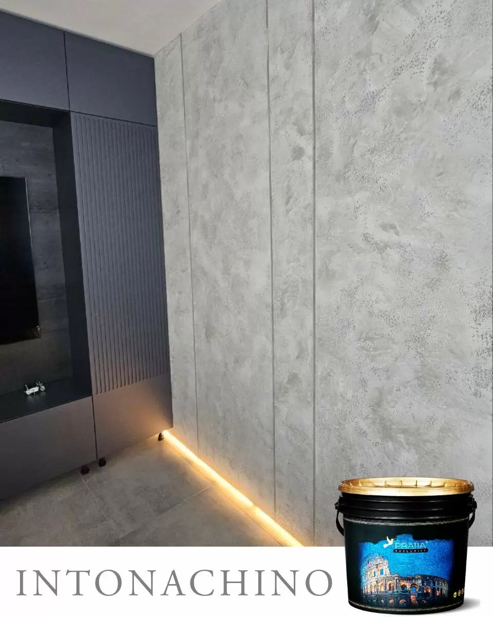 Плесень на стенах: причины возникновения и её воздействие на здоровье