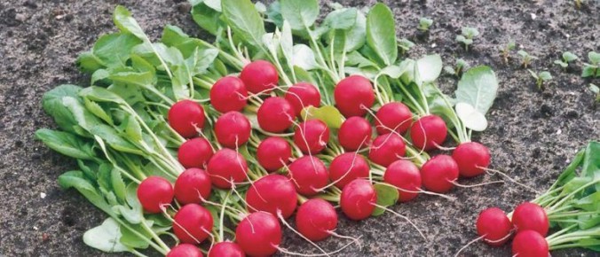 ��� ��������� ����� �����: ������ ��� ������� ������ � ���