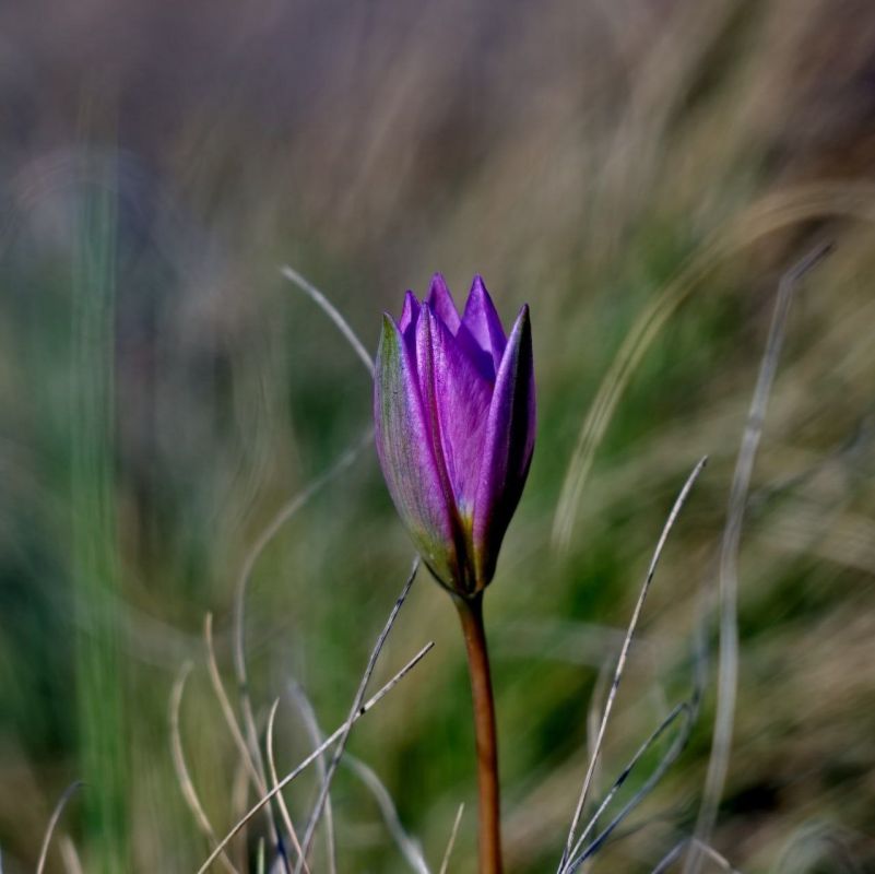 Доброе утро! Прогноз погоды на 9 апреля