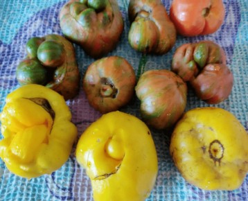 ��� ����������� ������ ���� �� ������� ���������