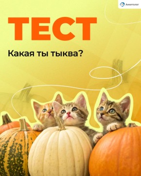 Скоро осень: узнайте, какая тыква скрыта в вашем характере