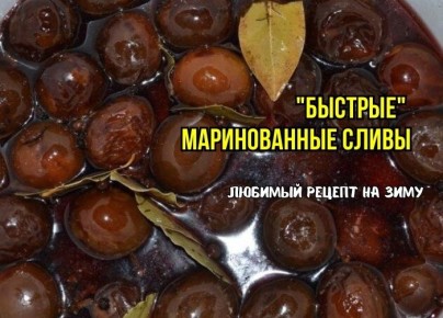 ���������� � �����: ������������ �����, ������� ����� �����������