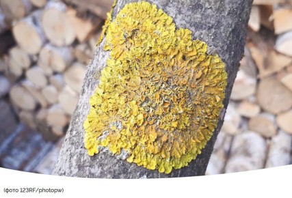 ��� ���������� �������� � ���������� �� �������� � ��������