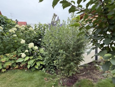 ������ �����������: � ������� �������� � ����