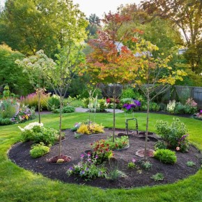 Почему стоит дважды подумать, прежде чем сажать клён в своем саду