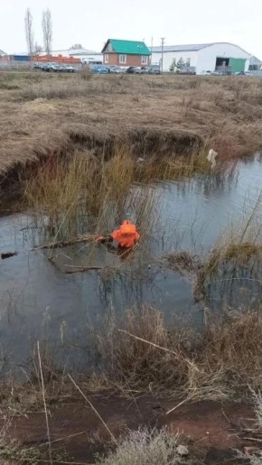 � ����������� ������ ��� ������ ���� ���������� ��������