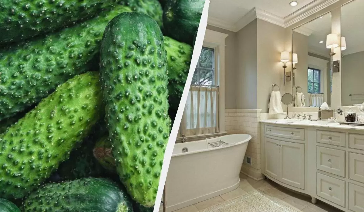 Огурец в ванной: неожиданный лайфхак для чистоты зеркала