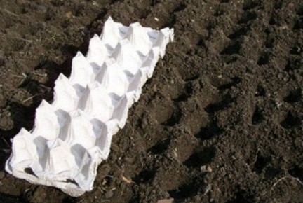 ��� ��������� �������� �������: ����������� ������� �� ����� �������