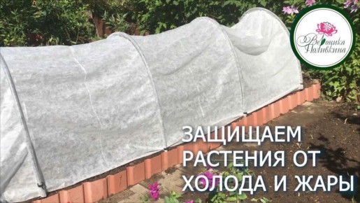 ��� �������� ��������� �������� ��������� � 2026 ����: �������� ������ ��� ��������