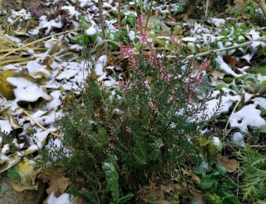 ��� ������ �������� ������ ��������