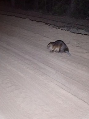 � ����������� ���� ������� ����� ������ ������� �� ������������ ����� �� �������� �����