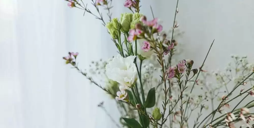 Как обеспечить роскошное цветение эустомы: секреты успеха в домашних условиях