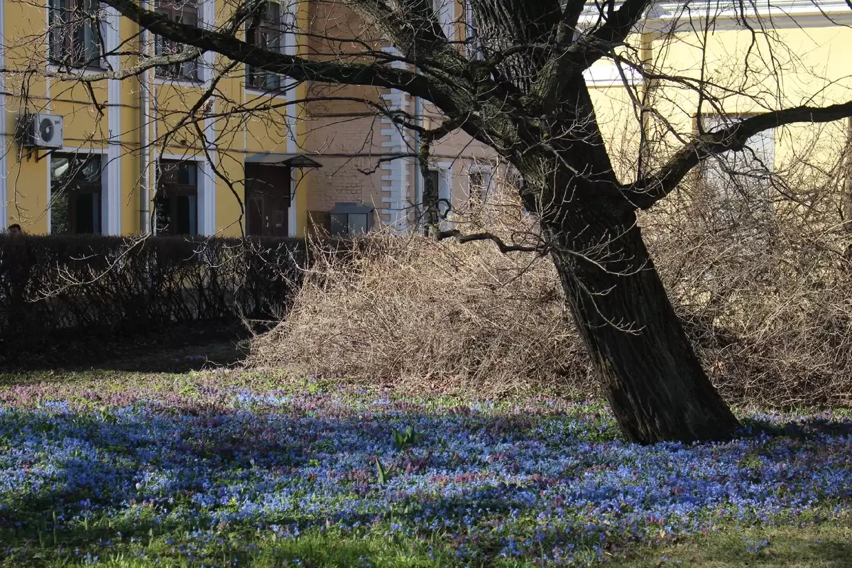 Ботанический сад наполняется жизнью