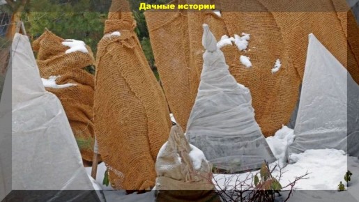 ��� ����������� �������� � ����