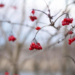 ������: ������������ ����� � ������, ������� ��������� � ���