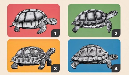 ���� �� ��������: ��� ������� ��������, ���������� ��� ��������?