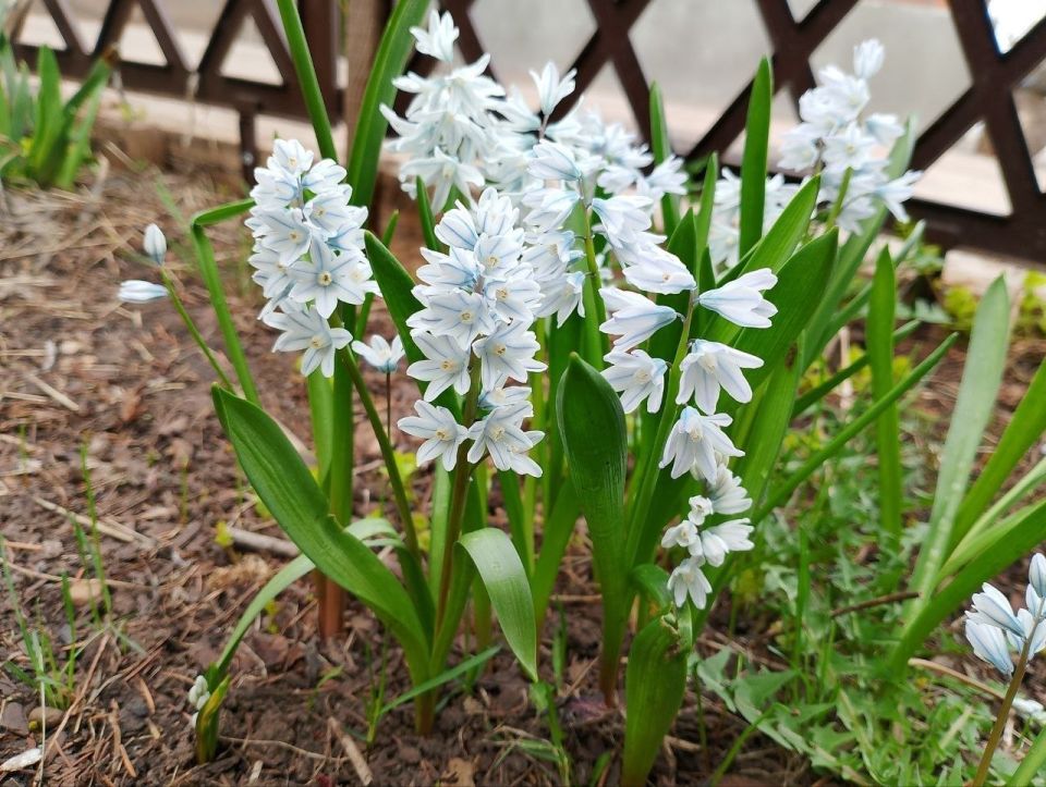 ������ ����! ������� ������ �� 14 ������