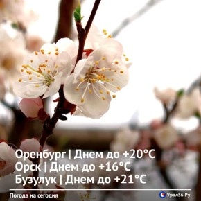 Доброе утро