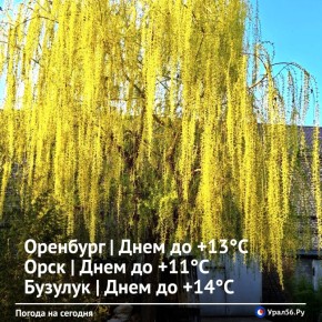 Доброе утро