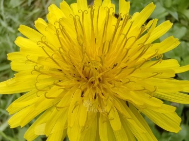 ��� ������ �������� �� ������: ������ � ����������� ������