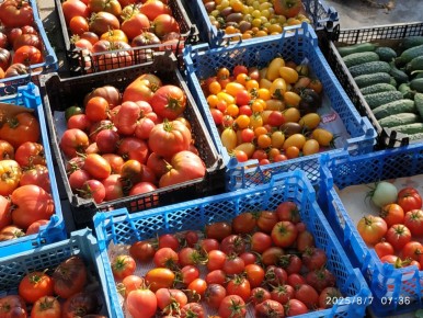 Как выбрать идеальные томаты для продажи: советы и популярные сорта