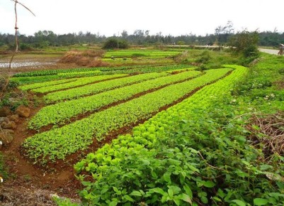 ������������ ���������� � ���������