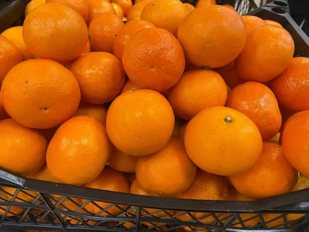 Как выбрать и сохранить мандарины к Новому году: советы экспертов