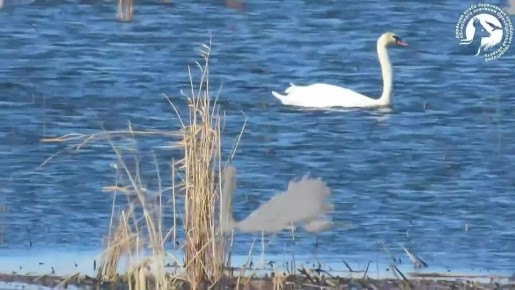 ������ �� ����� �������� � ����������� ������