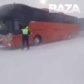 ������� ���� �� ������ ���� - �����������: ��-�� ��������� �� ������ �������� �������� ����������, ��������� � ��������