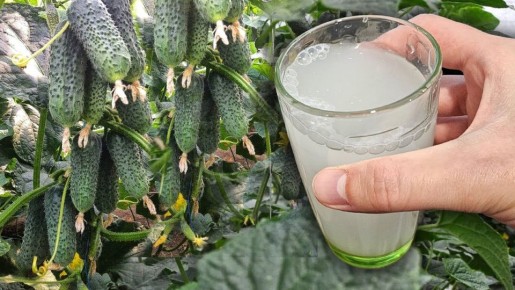 ��� ������� ����� ������� ��������� � �������: ������ � �������