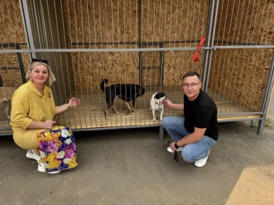 ������ ����� ������ �� ������ ��������� ������� ���������� ��������� ����������� ����� �� ������������� ������ ��� ����� �����