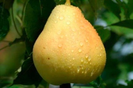 ����� ������: ��������� ����� ��� ��������� � 2025 ����