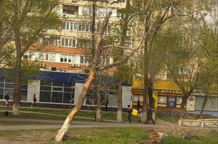 � ��������� ����� �������� ������, ��� ���� �������� �� ��������