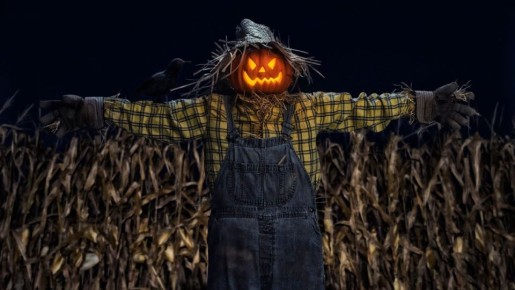 ��� ���� ������ ������� ���� � ������� �����